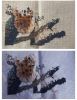 IMG_20220411_224436.thumb.jpg.bbec6c4e02af71798f21c7656d4e94a1.jpg
