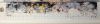 IMG_20220412_192912.thumb.jpg.e2f10b6f2ea2e443f51d9a0d1f9b21a4.jpg