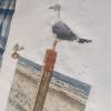 IMG_20220416_164711.thumb.jpg.47f0cd21a8cf578e9d11c4b9f6f62844.jpg