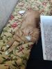 IMG_20220416_180558.thumb.jpg.3d7c3905e347817249df27c74d31dfbe.jpg