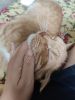 IMG_20220416_181715.thumb.jpg.c97437b5037dbf338b504c57a54b18af.jpg