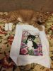 IMG_20220416_192724.thumb.jpg.9c0e409b8ce3df724b9fce1ba9d48fba.jpg
