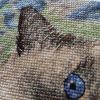 IMG_20220417_143201.thumb.jpg.43bb6928443cd09ae688d94bd657f98d.jpg
