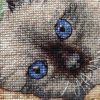 IMG_20220417_143206.thumb.jpg.dc8f52872ef27243b27fc937b9d08907.jpg