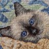 IMG_20220417_143216.thumb.jpg.5cd1d30d5457fcf935415beb7e4ccf67.jpg