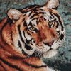 IMG_20220417_143343.thumb.jpg.b6b23f9eac8a38a19ea3c1bbaed28660.jpg