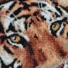 IMG_20220417_143356.thumb.jpg.9914b199654fa3307d4b8e64aad6b6c2.jpg