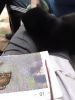 IMG_20220422_131314.thumb.jpg.8b3b9dec43fc2c8b20e255c856bdd285.jpg