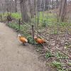 IMG_20220423_133410.thumb.jpg.cf262b25e1ce0bc3fb691ba8ac71b23a.jpg