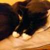 IMG_20220423_162042.thumb.jpg.80ab893dfcde9b0891dc5c39615e296f.jpg