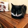 IMG_20220423_171428.thumb.jpg.d0cfede6ff40277782f8baedd3b88418.jpg