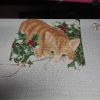 IMG_20220423_213742.thumb.jpg.e9fceaea2db970c464eaec4a9c2102d6.jpg