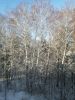 IMG_20220424_081821.thumb.jpg.f4164b2122a4f161ec5a08d0fbdf79bd.jpg