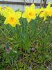 IMG_20220424_131547.thumb.jpg.7adae2692bd2c3a9ffbee27dda36d88d.jpg