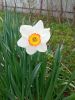 IMG_20220424_131611.thumb.jpg.367a6fc4b2cb6c4767c087631fad2733.jpg