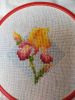 IMG_20220425_112241_compress69.thumb.jpg.db3e515f40d56814537385dc00deb1e7.jpg