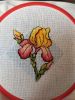 IMG_20220425_155305_compress67.thumb.jpg.eca07d19b1e6ec38991204c7d2b72b69.jpg