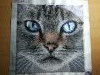 IMG_20220430_000616_BURST002.thumb.jpg.bb1e5a61d325ab8071a506362cfd1881.jpg?1651266679338