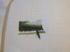 IMG_6573.thumb.JPG.b804415dc6ea942cac9208bec7dfd433.JPG