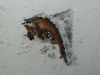 P1050024.thumb.JPG.4e898988c16a0afd30a45ee4695bedbd.JPG
