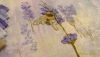 P_20220425_233228_1_p.thumb.jpg.c628e2d900134729439174b94405e90e.jpg