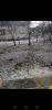 Screenshot_20220408_153803_com.huawei.himovie.overseas.thumb.jpg.1413bbd94021adea4c98070ab86850cc.jpg