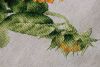 _IMG_5337.thumb.jpg.b0823179190e370a5ace56f3d6d4767c.jpg