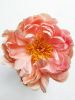 flower-1991545_1920.thumb.jpg.0d741c498791cc8ed51ae3c4bf6108ce.jpg
