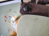 image.png.28bd6ea108c510a998ee5b362d5458e9.thumb.png.6ee01add650b65a6ea9e854dee2c1290.png