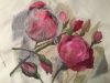 image.thumb.jpeg.465aa82710d8cd63b630d4f766c2a2e0.jpeg