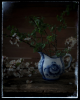 image.thumb.png.53a84ba9919c1b1046878452593f4d19.png