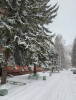 image.thumb.png.5d83513ee9ca8e89d1674e217dfa3f6d.png