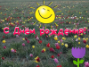image.thumb.png.8b812114a2e105e4a651563570b9e94e.png