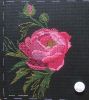 peonies_3.jpg.e99468360797df3fd2013e1a9a0d1bc3.thumb.jpg.af8816281e331dc323e2cc9a0c0f34c6.jpg