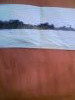 090520222566.thumb.jpg.5885d2a565fcf7cfd1e6d413318e368a.jpg?1652084806793