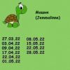 1023510128_8.thumb.jpeg.9adcc63aba0cd5b2c6065f10c86049d6.jpeg