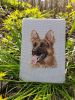 1315918712_.thumb.jpg.85fc824fce1cdfa1abbdafc2d708adbc.jpg