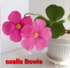 1387511506_2022-05-0721_56_48.thumb.png.a2bfdb092076b64c1ffd0e000f3dcfb0.png