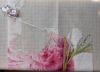 167AC131-BA3D-4B0D-A5FC-70123C8CFA78.thumb.jpeg.40b98fd02ee063d6301846a41523df68.jpeg