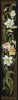 18BDA90B-699A-437C-90C2-64B6BE786764.thumb.jpeg.1623aefee8ae3e1402453511f23e241a.jpeg