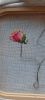 1D19E587-D5ED-4A3F-93C0-52B4182B63E0.thumb.jpeg.83f9c0fa933fa862e760352f19b4eb03.jpeg