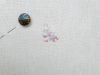 20210908_124009.thumb.jpg.60dee3b75d40ebbd98b594ca2a76491a.jpg