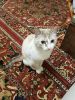 20220315_000216.thumb.jpg.02e07a38c49bd0868ee4511eddee75c0.jpg