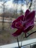 20220415_170432.thumb.jpg.c46156490061064eb750182c60511b50.jpg