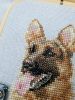 20220427_132626.thumb.jpg.6b7fe4c7330b7461d9af45feb6b718de.jpg