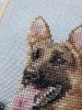20220427_132648.thumb.jpg.b80b1f0b284abb08084a571d217a365b.jpg