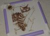 20220429_051712.thumb.jpg.9c7b4ed9eddc5830005ee0cb3d50aecb.jpg