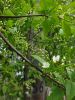 20220512_094746.thumb.jpg.c62dc2aaf69c77e4b99d5376c6209ad4.jpg