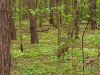 20220512_095934.thumb.jpg.0ddb2383776fc3406fe6417b039b3a5c.jpg