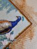 20220514_233536.thumb.jpg.9eff3ac2e59d258be736db955c6a153a.jpg